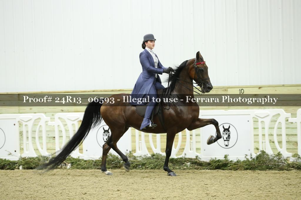 Proof 24R13_06593