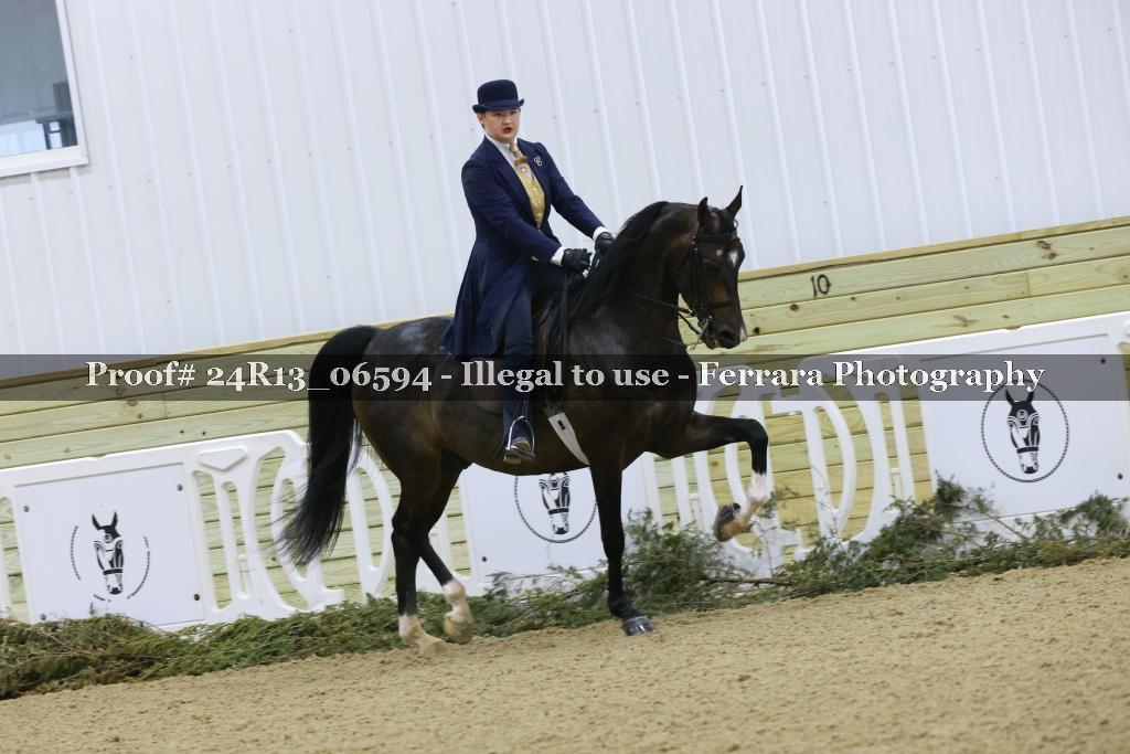 Proof 24R13_06594