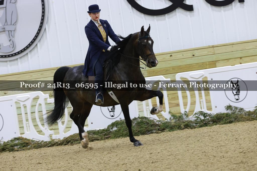 Proof 24R13_06595