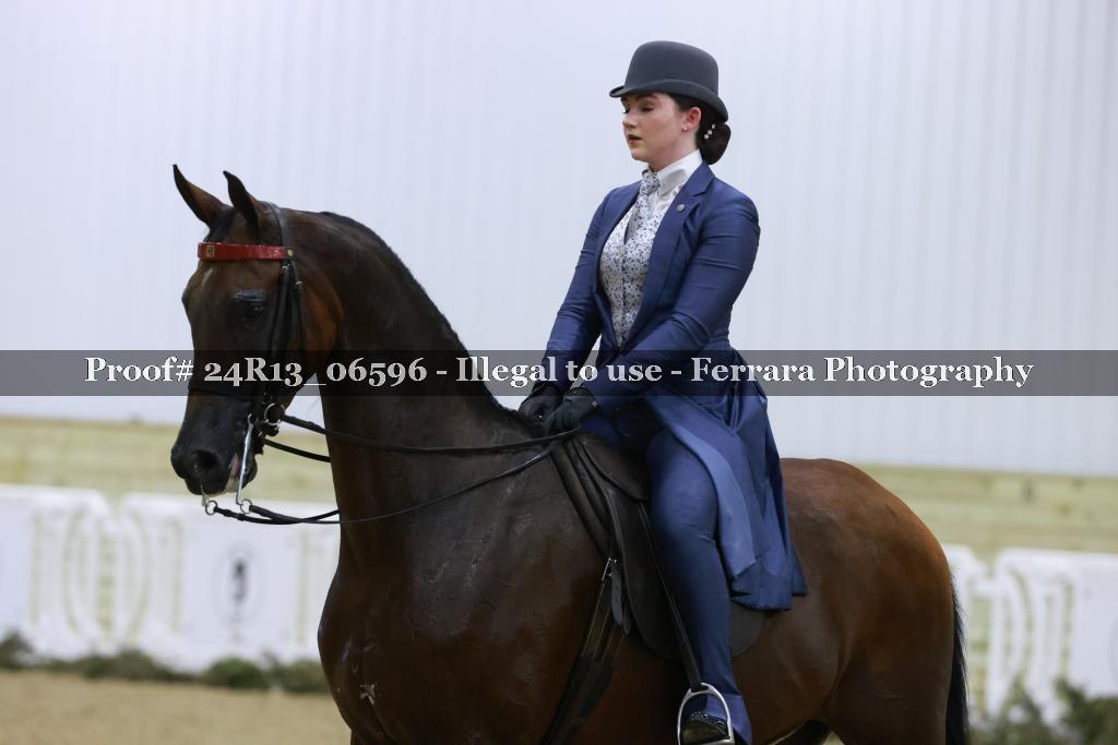 Proof 24R13_06596