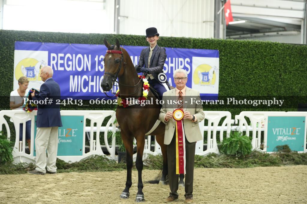 Proof 24R13_06602