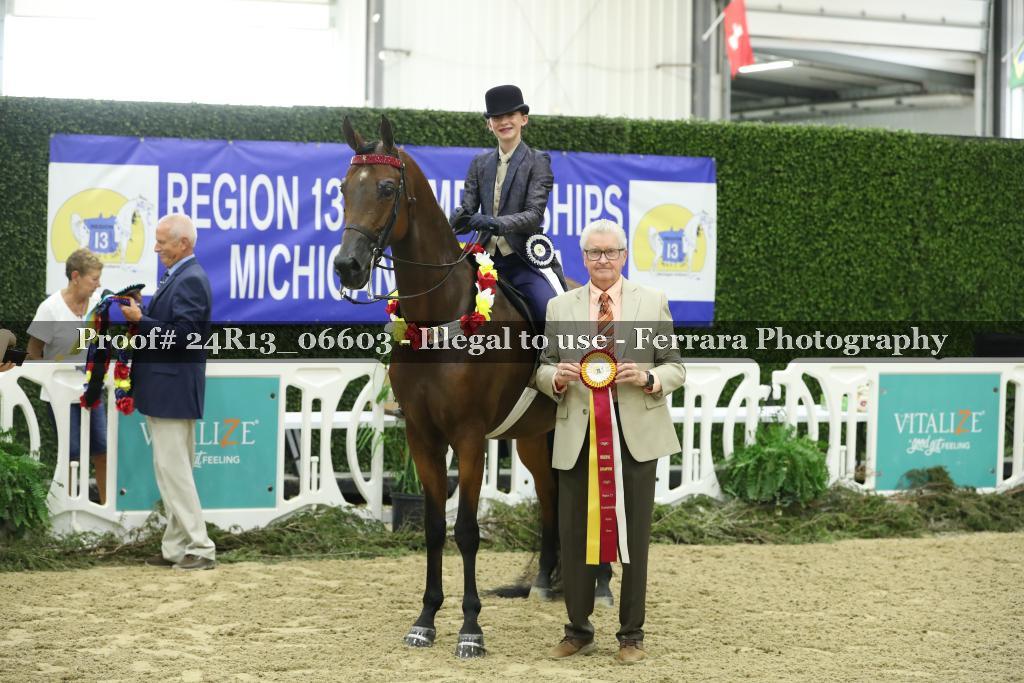 Proof 24R13_06603