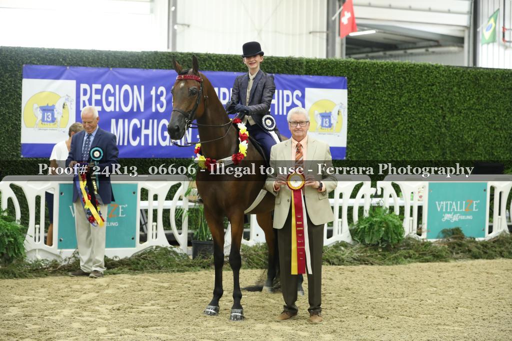 Proof 24R13_06606