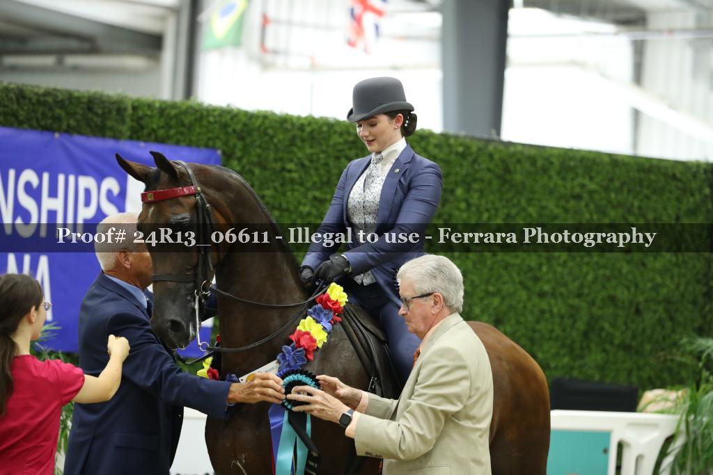 Proof 24R13_06611