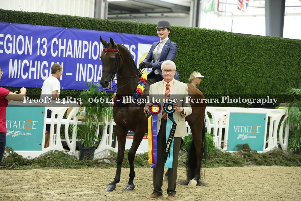 Proof 24R13_06614