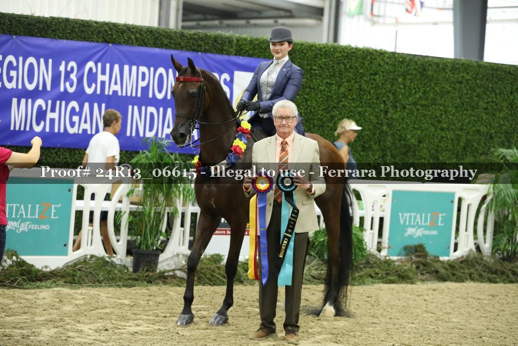 Proof 24R13_06615