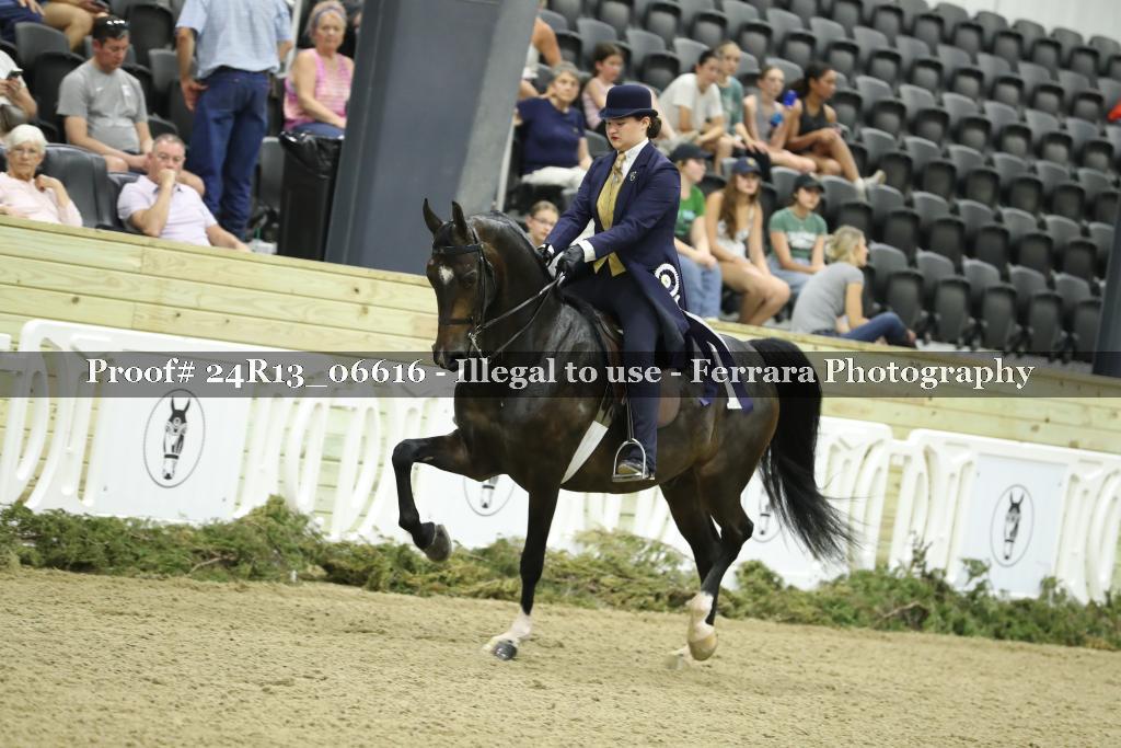Proof 24R13_06616