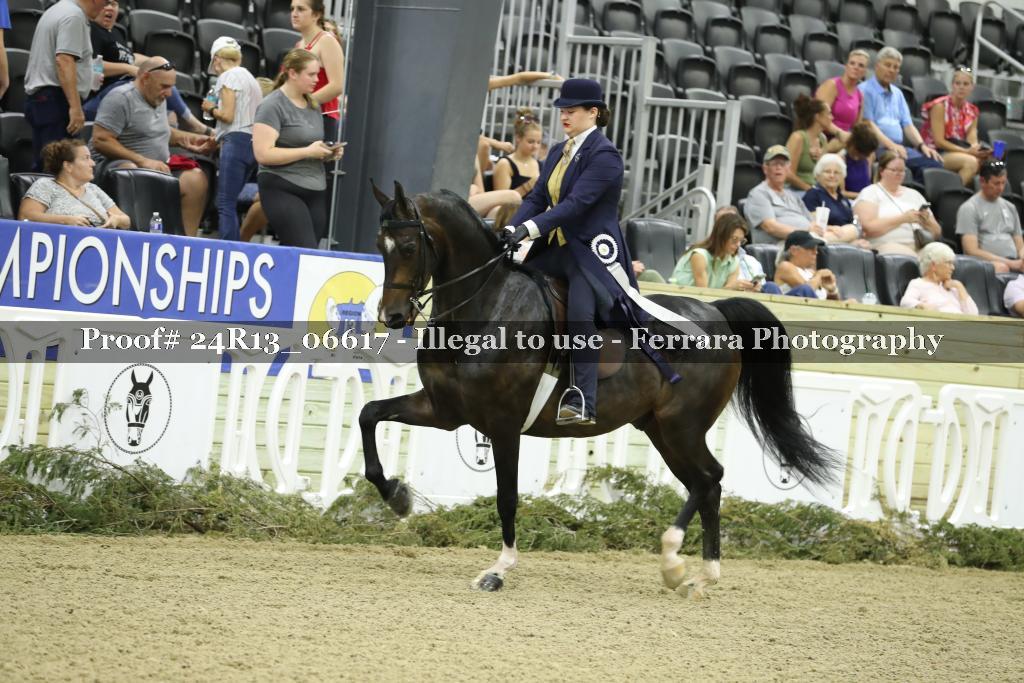 Proof 24R13_06617