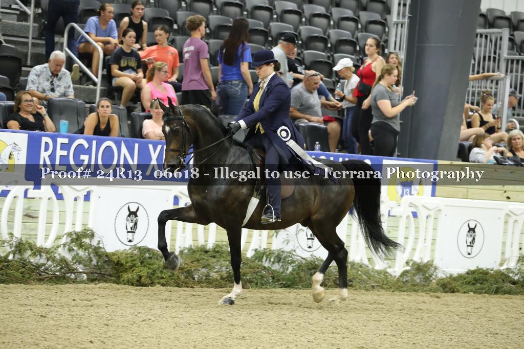 Proof 24R13_06618