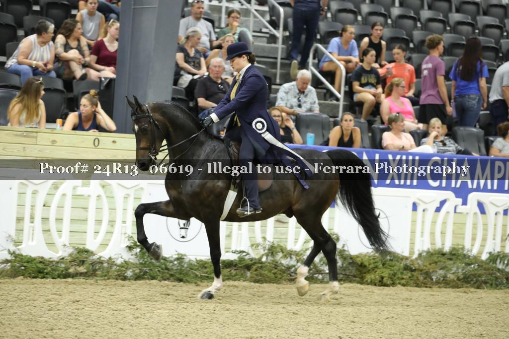 Proof 24R13_06619