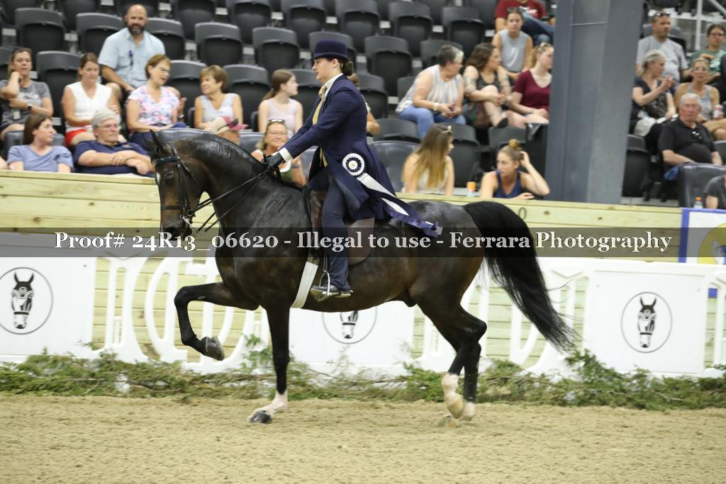 Proof 24R13_06620