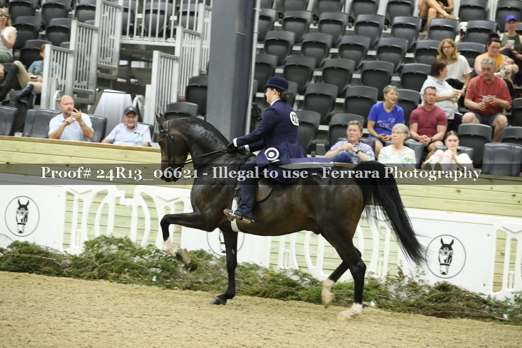 Proof 24R13_06621