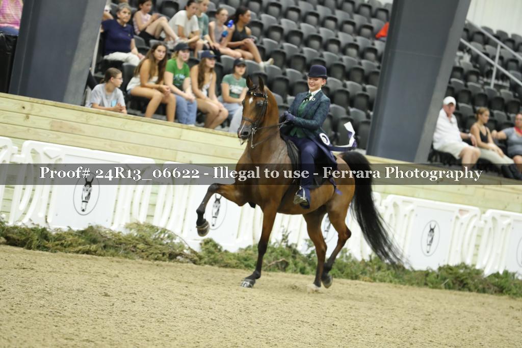 Proof 24R13_06622