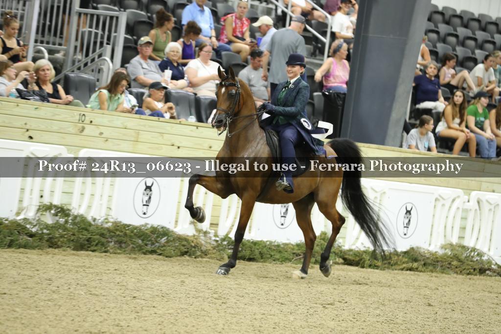 Proof 24R13_06623