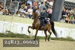 24R13_06623 proof