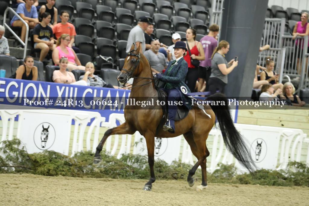 Proof 24R13_06624