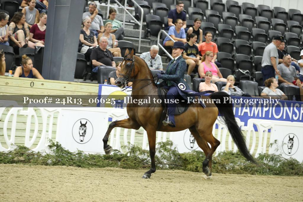 Proof 24R13_06625