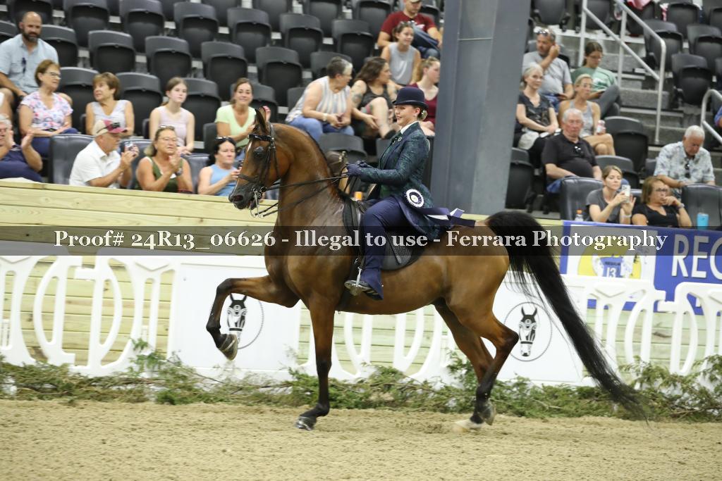Proof 24R13_06626