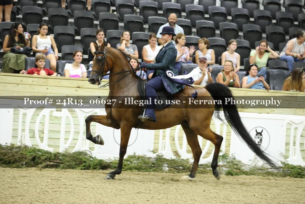 Proof 24R13_06627