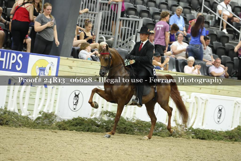 Proof 24R13_06628