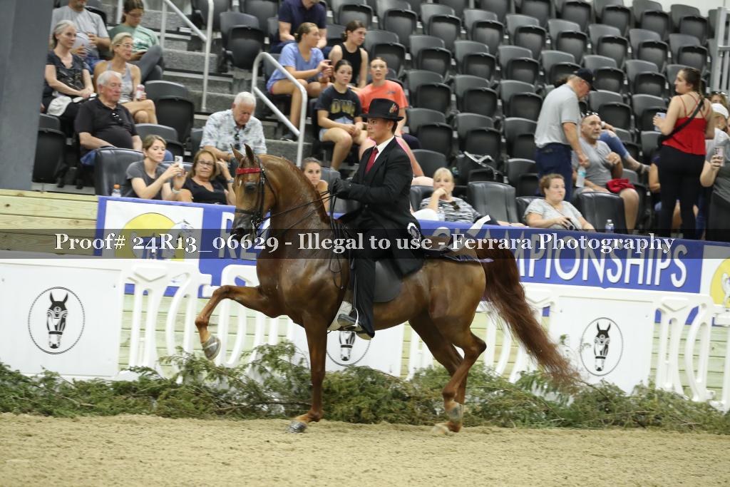 Proof 24R13_06629