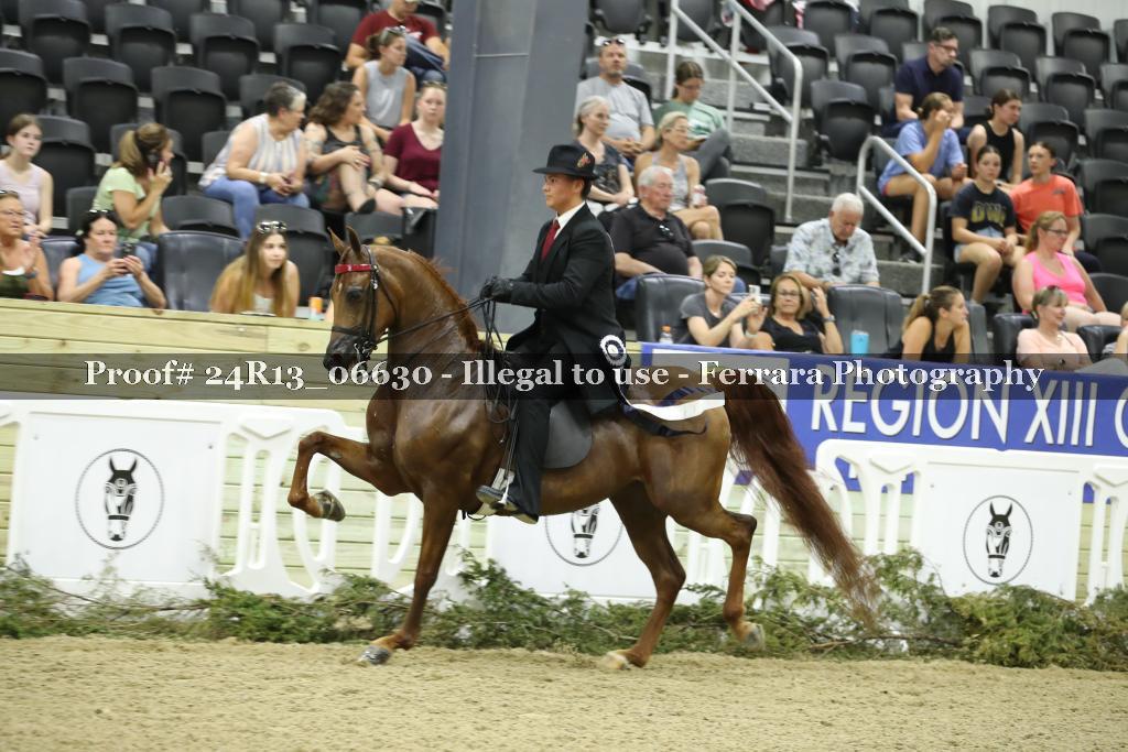 Proof 24R13_06630