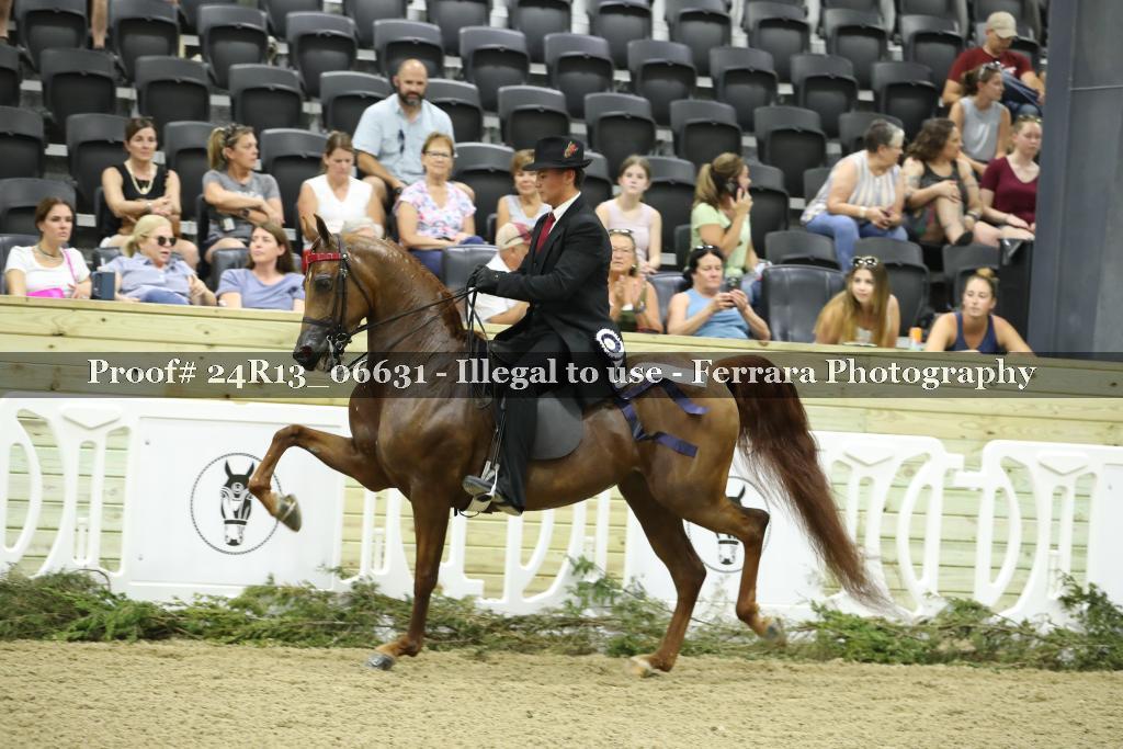 Proof 24R13_06631