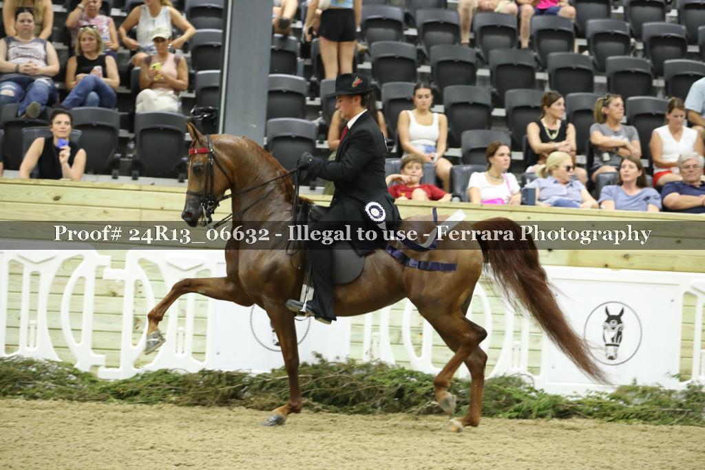 Proof 24R13_06632