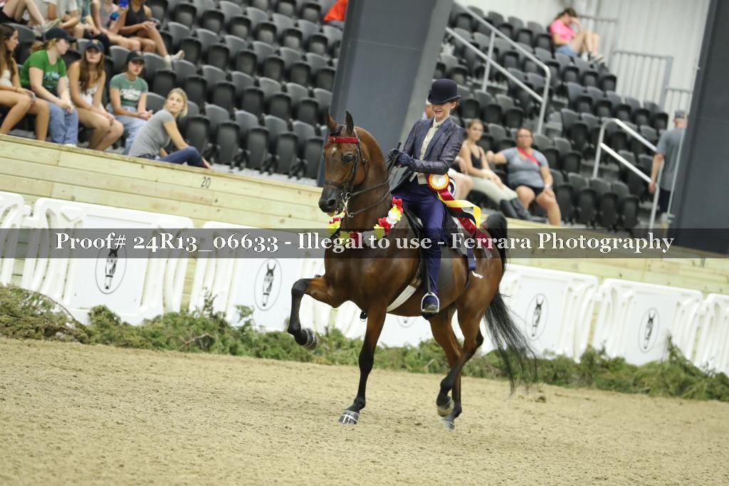 Proof 24R13_06633