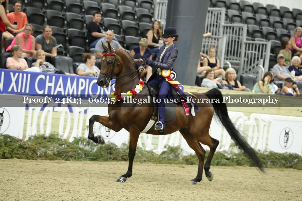 Proof 24R13_06635