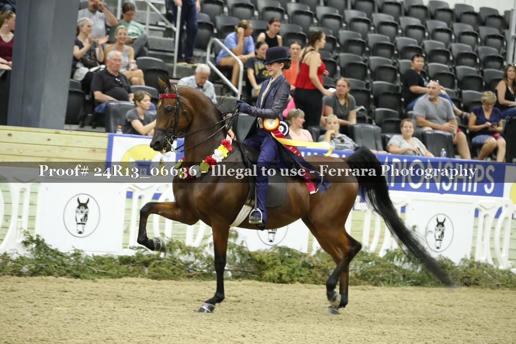 Proof 24R13_06636