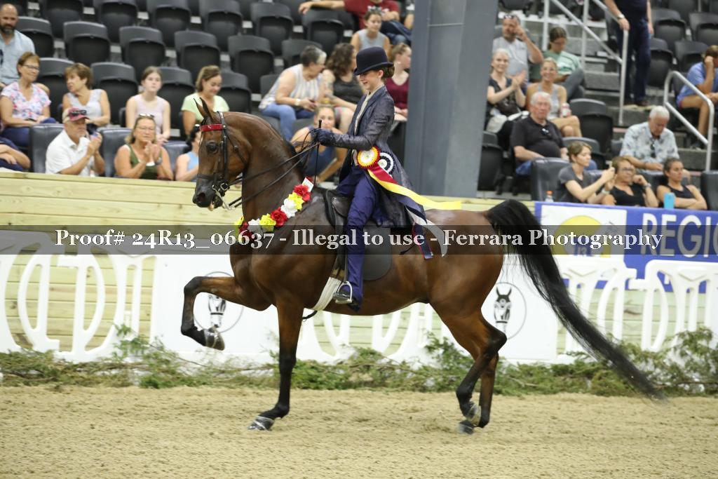 Proof 24R13_06637