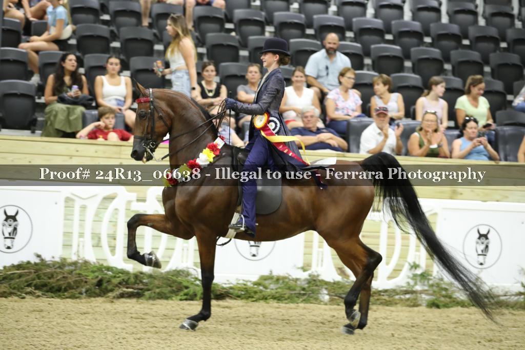 Proof 24R13_06638