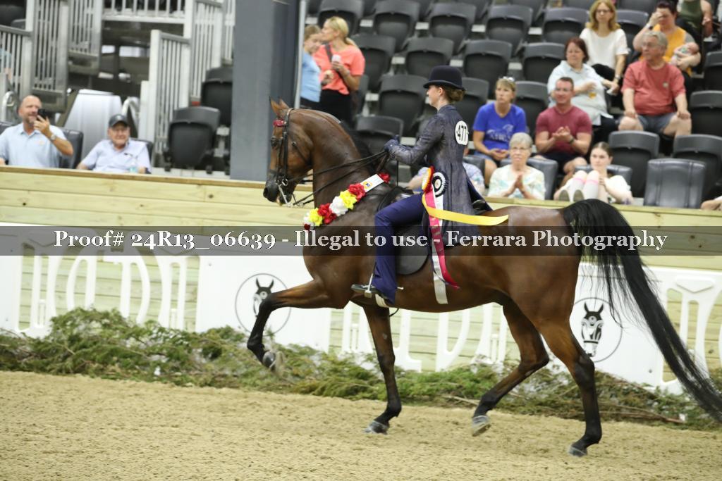 Proof 24R13_06639