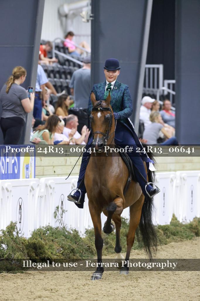 Proof 24R13_06641