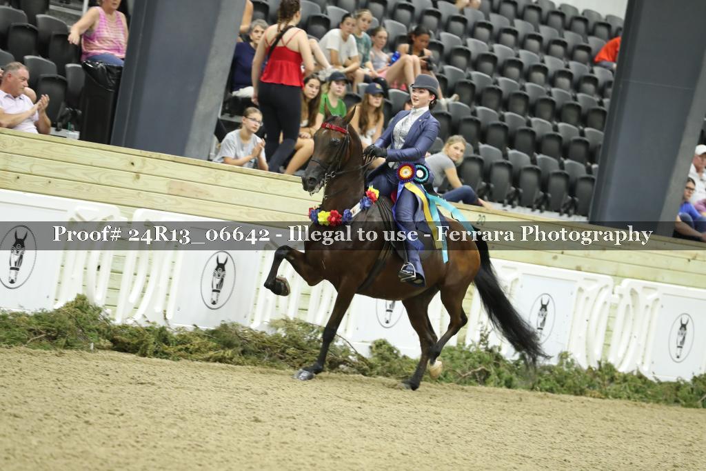 Proof 24R13_06642