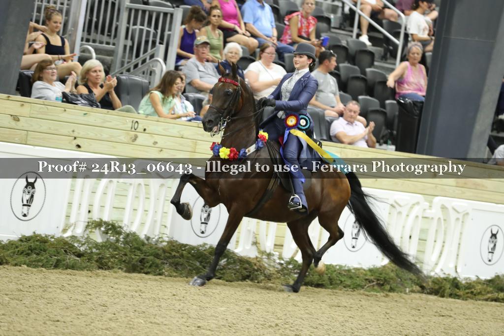 Proof 24R13_06643