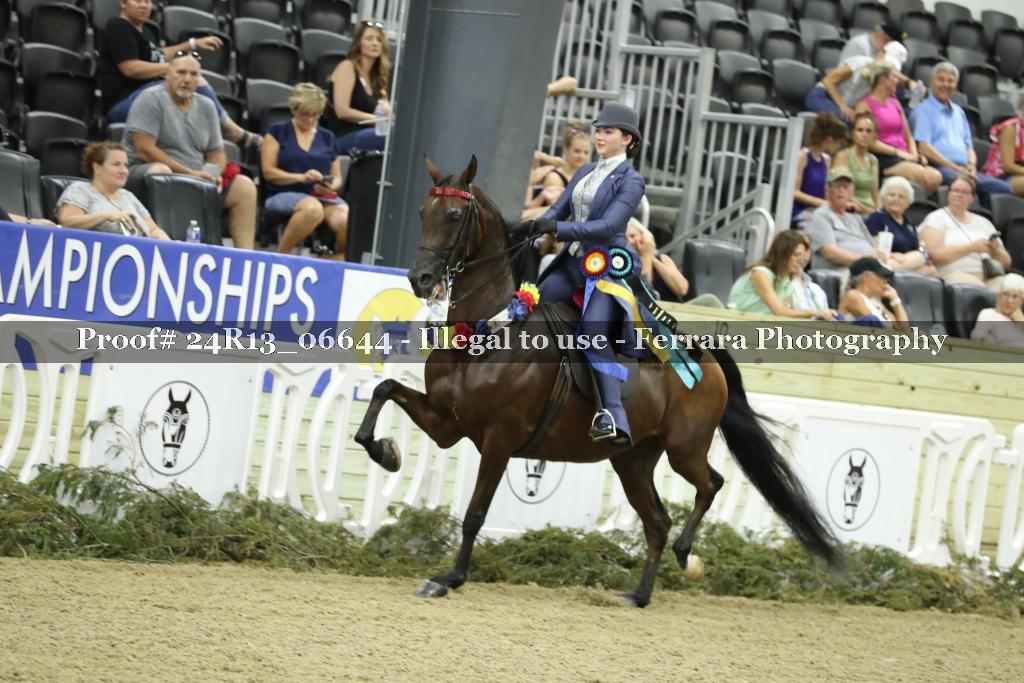 Proof 24R13_06644