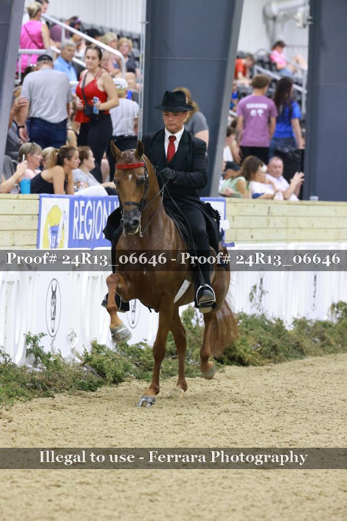 Proof 24R13_06646