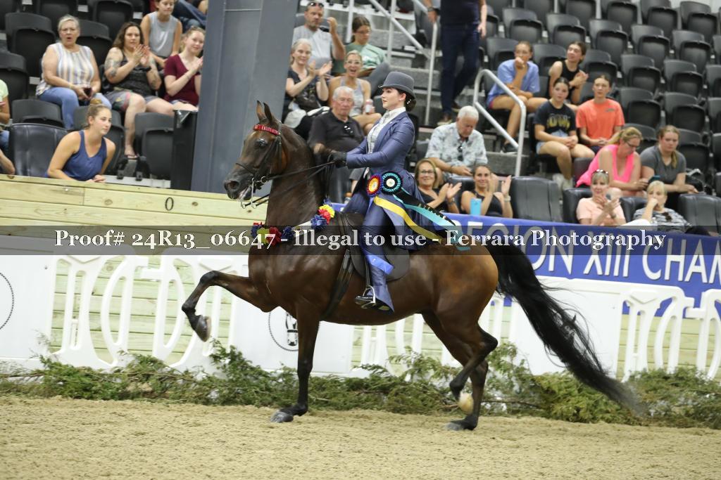 Proof 24R13_06647