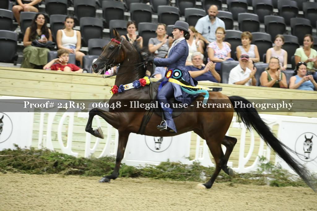 Proof 24R13_06648