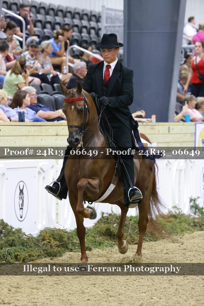 Proof 24R13_06649