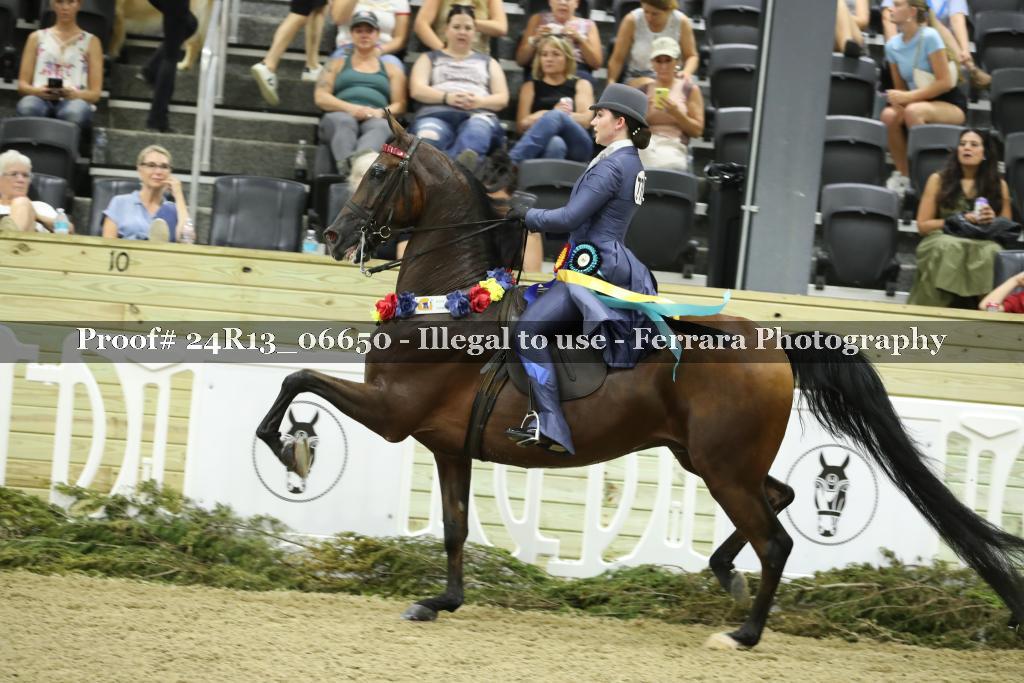 Proof 24R13_06650