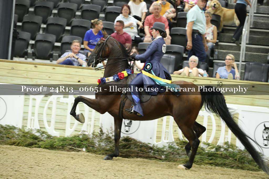 Proof 24R13_06651