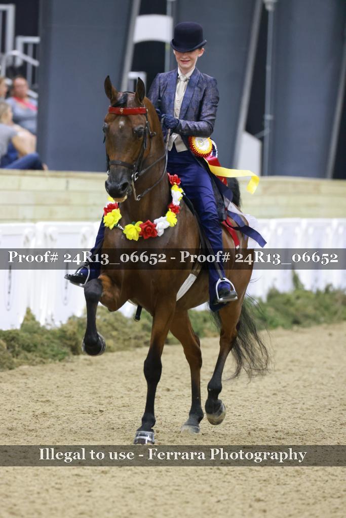 Proof 24R13_06652