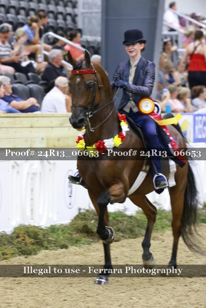 Proof 24R13_06653