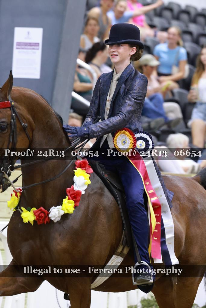 Proof 24R13_06654