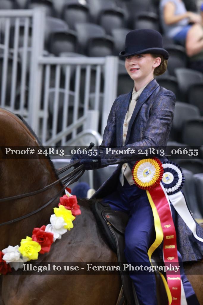 Proof 24R13_06655