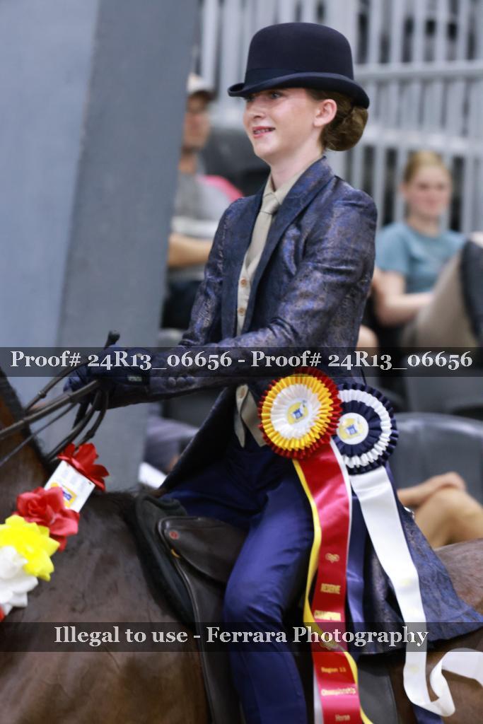 Proof 24R13_06656