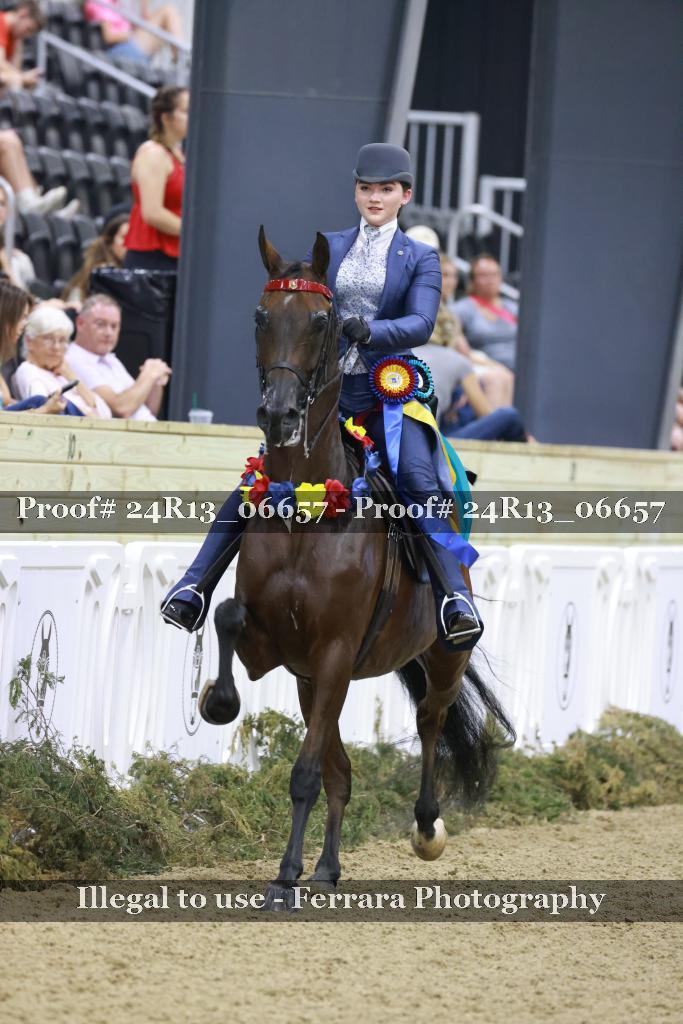 Proof 24R13_06657